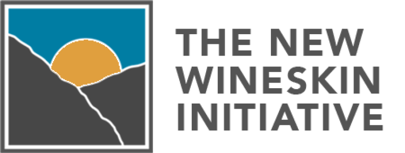The New Wineskin Initiative (fiscally sponsored by Leander UMC and Northern Hills UMC)